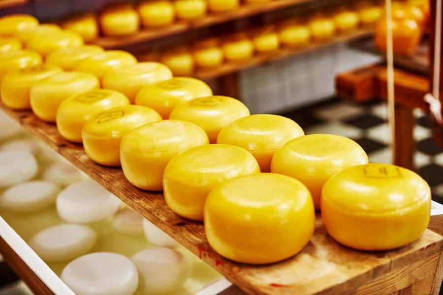 Amsterdam: Zaanse Schans, Cheese Tasting & Volendam Tour - Volendam: a classic harbor town for wandering and snacks