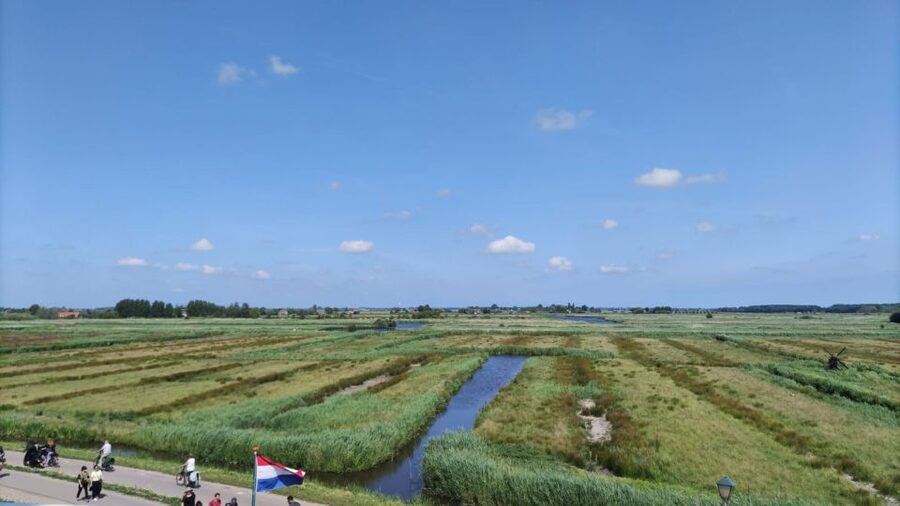 Amsterdam: Zaanse Schans Windmills Bike Tour with Guide - What You’ll Learn Beyond Windmill Photos