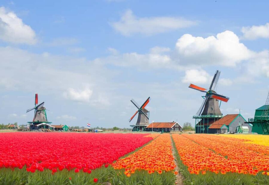 Amsterdam: Zaanse Schans, Windmills & Volendam Private Tour - Zaanse Schans: A Time-Travel Village With Craft You Can Follow