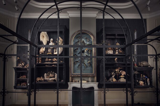 Art Zoo Museum Amsterdam Tickets - Stop 1: the canal house and the taxidermy art experience