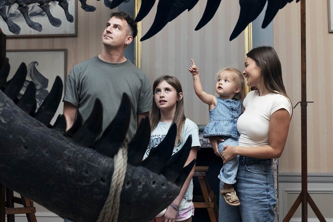Art Zoo Museum Amsterdam Tickets - Animals, anatomy, and the exhibits you will remember