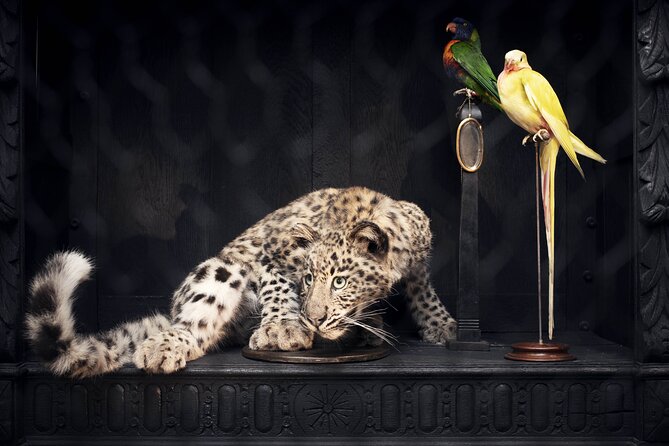 Art Zoo Museum Amsterdam Tickets - Where the visit ends: garden time and an Italian bar coffee