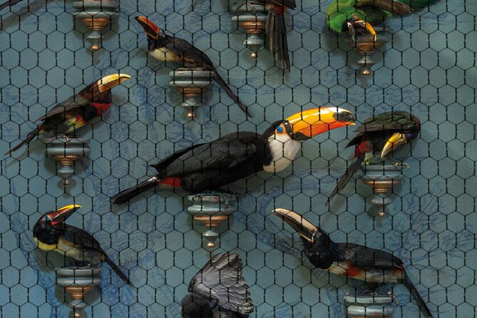 Art Zoo Museum Amsterdam Tickets - Staff, atmosphere, and why this feels easy