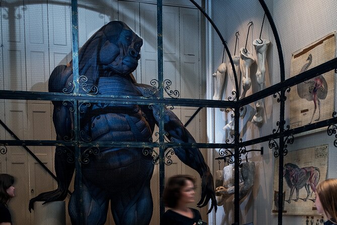 Art Zoo Museum Amsterdam Tickets - The self-guided audio tour, and how to use it well