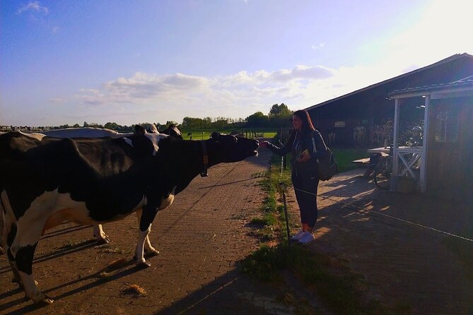 Best of Dutch Countryside: Giethoorn, Windmills, Secret Villages - The ride back and timing: why a long countryside day still feels manageable
