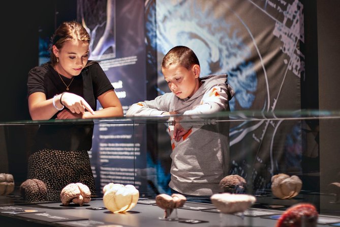 Body Worlds Amsterdam Admission Ticket - Getting started on the route: expect level 6 and a lift ride