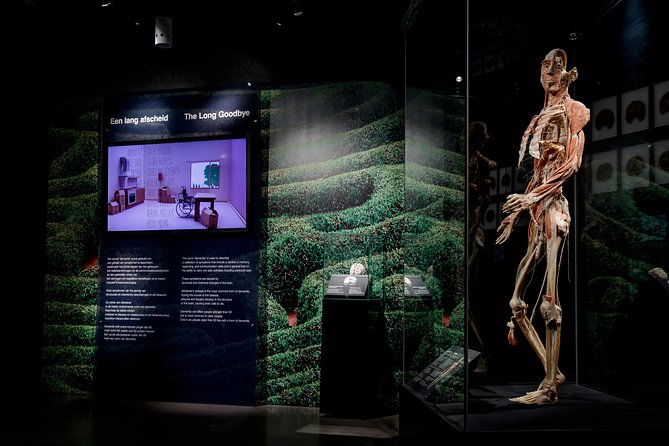 Body Worlds Amsterdam Admission Ticket - How long it really takes, and why you might finish faster