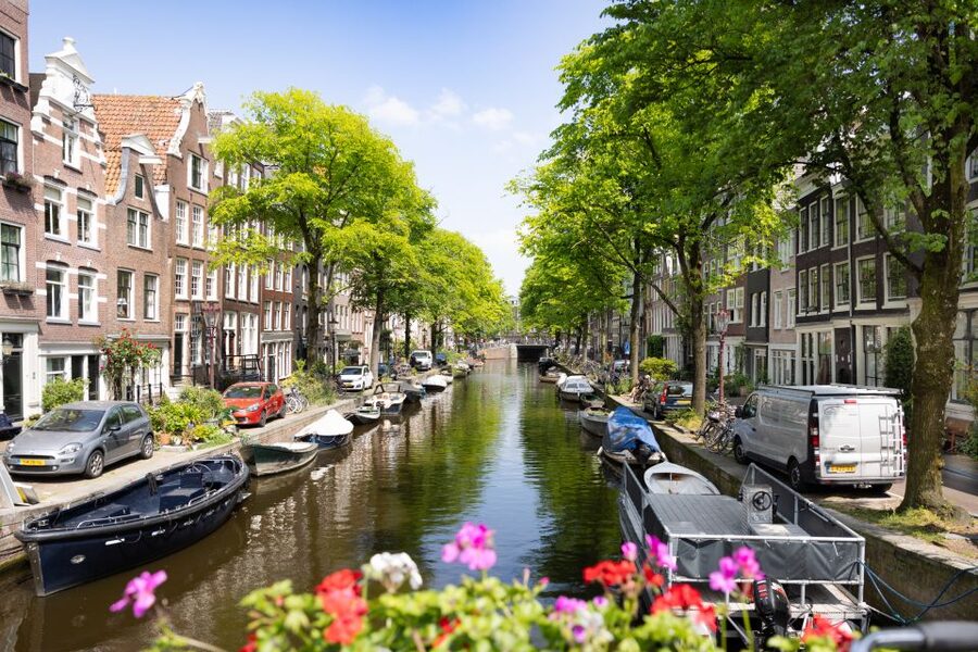 Boutique Dutch Food & History Tour with up to 8 guests only - Who this tour fits best, and what to plan for