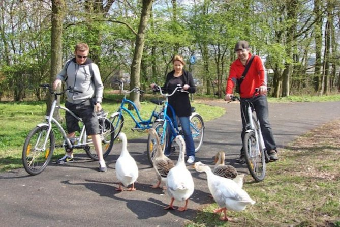 Cheese, Canals & Windmill Countryside E-Bike Tour Amsterdam - Riding Along Nieuwendammerdijk: Green Houses and Captains’ History