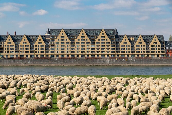 Cologne Private Roundtrip transfer incl. chocolate museum tickets - Early start and border crossing, handled