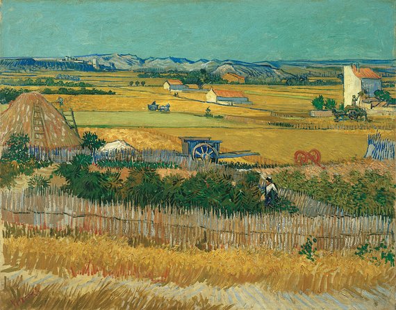 Combo Ticket: Van Gogh Museum Ticket and 1-Hour Canal Cruise - Watch-outs I’d treat as part of the itinerary