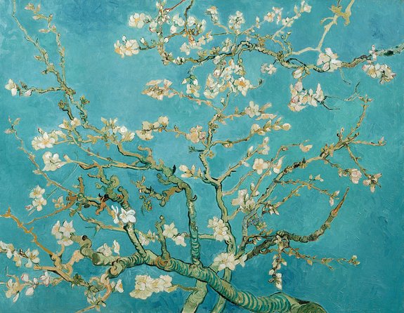 Combo Ticket: Van Gogh Museum Ticket and 1-Hour Canal Cruise - Museumplein arrival and the smartest way to protect your schedule