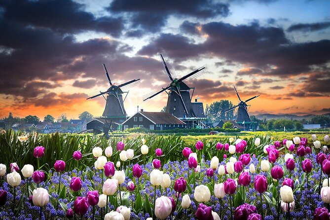 Customized Private Tour in Tesla to Zaandam, Windmills & Volendam - Who this tour is best for, and who might want another style