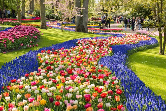 Day Trip to Keukenhof Gardens from Amsterdam with Tour Guide - The 45-Minute Guided Start Inside Keukenhof: Oranje Nassau and Clusius