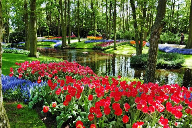 Day Trip to Keukenhof Gardens from Amsterdam with Tour Guide - Coach Ride Tips: Comfort, Timing, and Group Energy