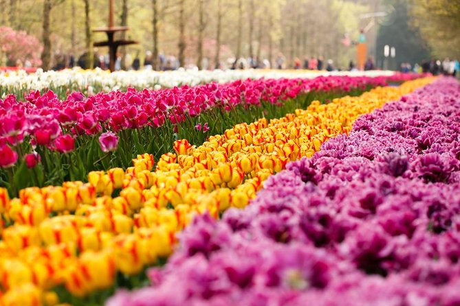 Day Trip to Keukenhof Gardens from Amsterdam with Tour Guide - Meet-Up at AlohaDe Ruijterkade 151: Simple, Except When Crowds Confuse It