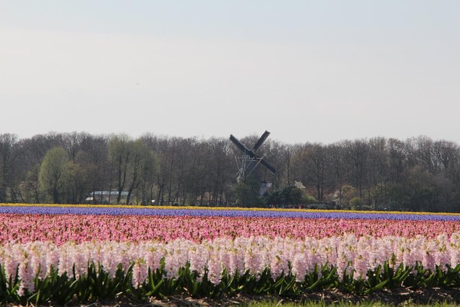 Day Trip To Tulip Gardens Of Keukenhof From Amsterdam: Private & Personalized - From Damrak to Keukenhof, without the logistics headache