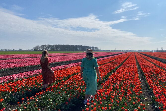 Discover Holland’s Beautiful Tulip Fields with an Expert Guide - Timing and weather: how to choose your tulip week