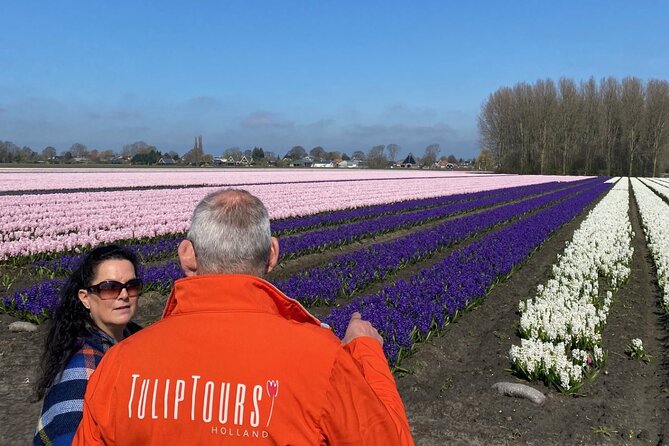 Early Flower fields with Lunch & Windmill Guided Day Tour - Why This Early Flower Day Feels Easier Than DIY