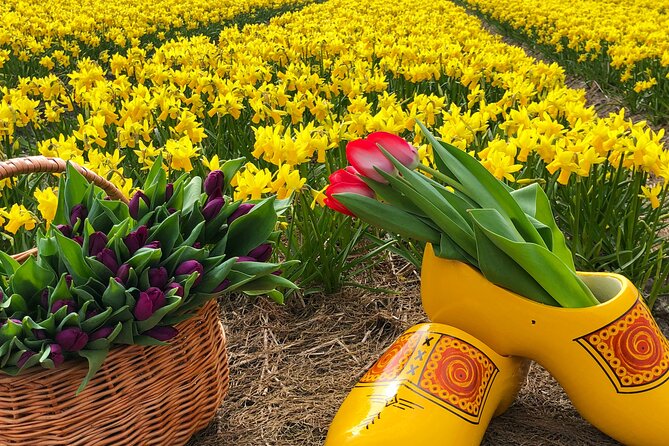 Early Flower fields with Lunch & Windmill Guided Day Tour - Getting Around From Amsterdam Without Stress