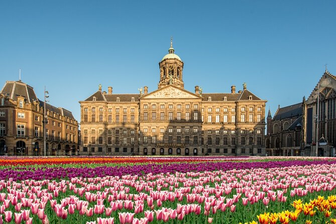 Essential Amsterdam Guided Walking Tour - Dam Square and Damstraat: The City’s Center in Motion