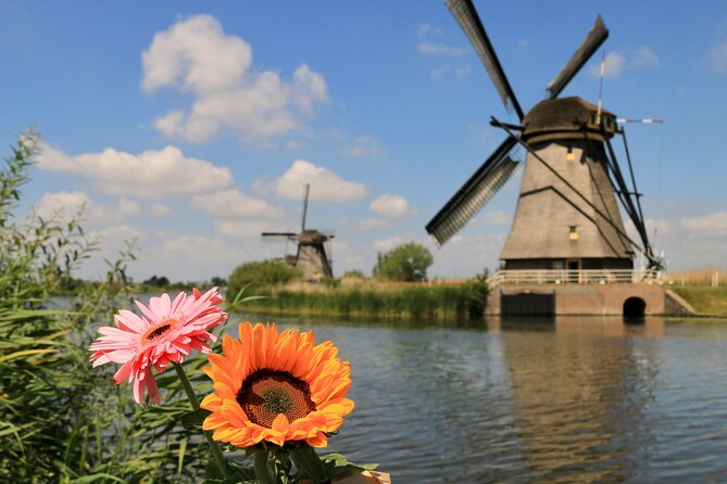 Explore Kinderdijk, Delft, and The Hague Day Tour from Amsterdam - The Hague: Peace Palace and embassies, plus your museum choice
