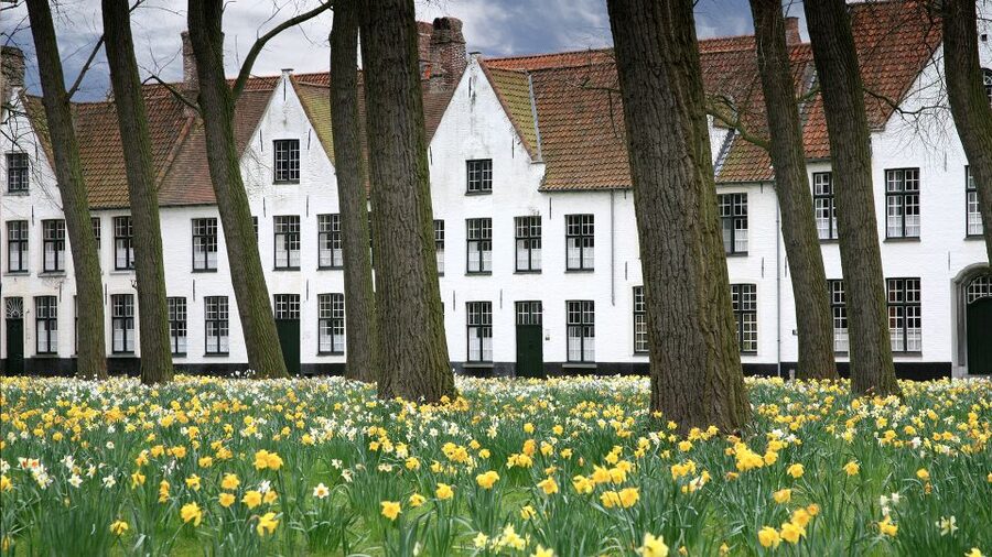 From Amsterdam: Bruges Day Trip in English with Boat Option - Value and price: is $61 a fair deal for this format?