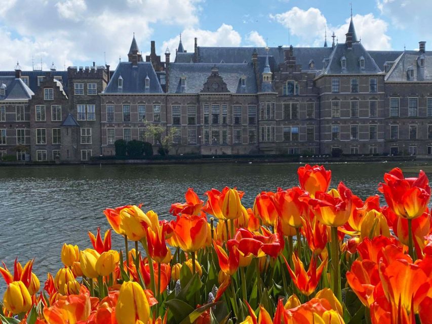 From Amsterdam: Guided Trip to Rotterdam, Delft & The Hague - Key highlights worth your attention