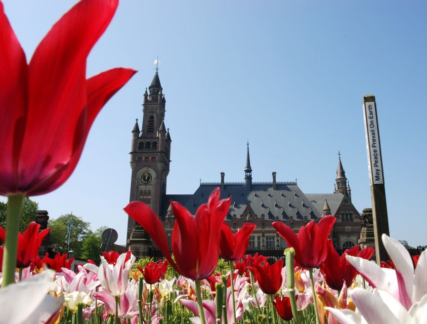 From Amsterdam: Guided Trip to Rotterdam, Delft & The Hague - From Amsterdam’s Stationsplein to South Holland in one day