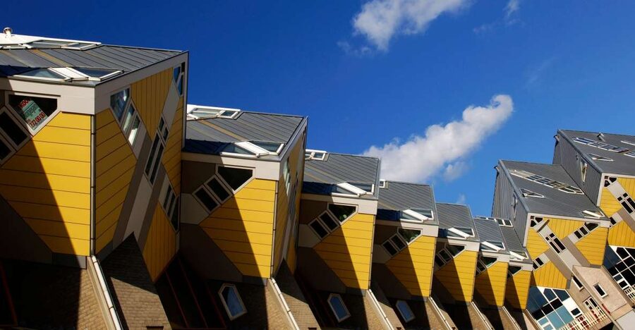 From Amsterdam: Guided Trip to Rotterdam, Delft & The Hague - Pacing, walking, and rain-shine reality checks