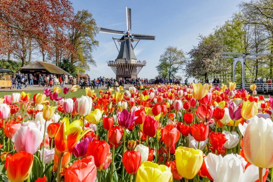 From Amsterdam: Keukenhof and Dutch Countryside Tour - The IJsselmeer boat trip: the calm break you will feel later