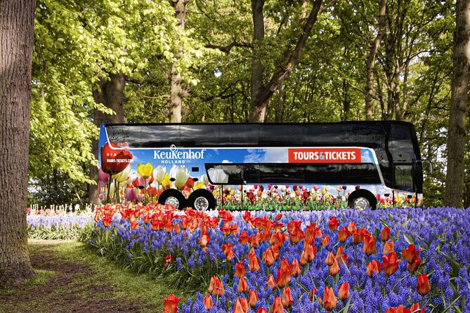 From Amsterdam: Keukenhof and Tulip Experience Tour - The coach ride: countryside scenery, comfort, and photo timing