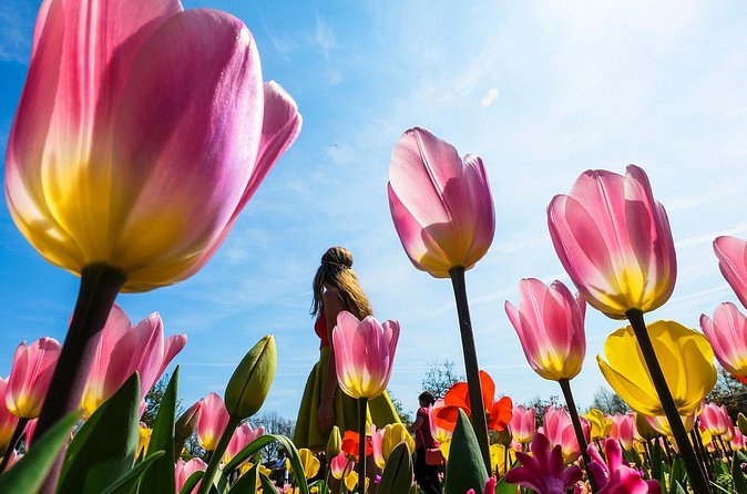 From Amsterdam: Keukenhof and Tulip Experience Tour - Practical tips that make a big difference