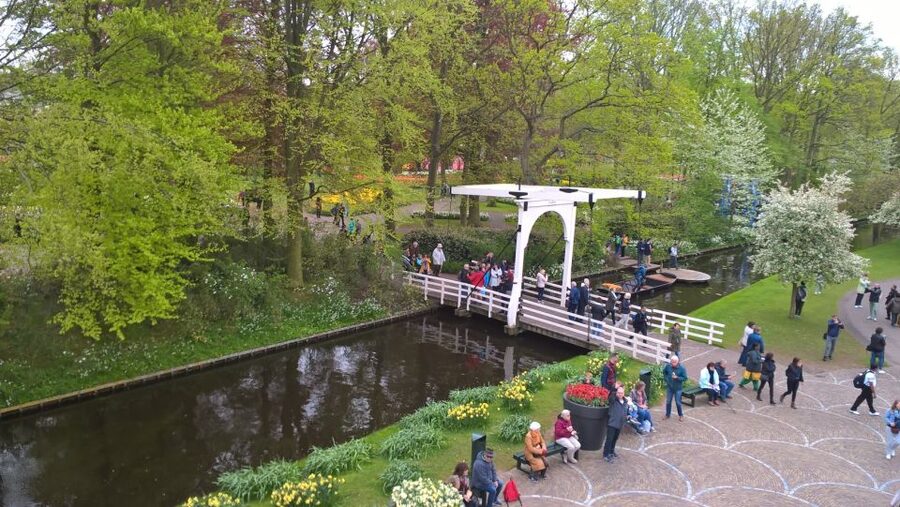 From Amsterdam: Keukenhof and Zaanse Schans Small Group Tour - What I’d bring, what to skip, and how to make it feel easy
