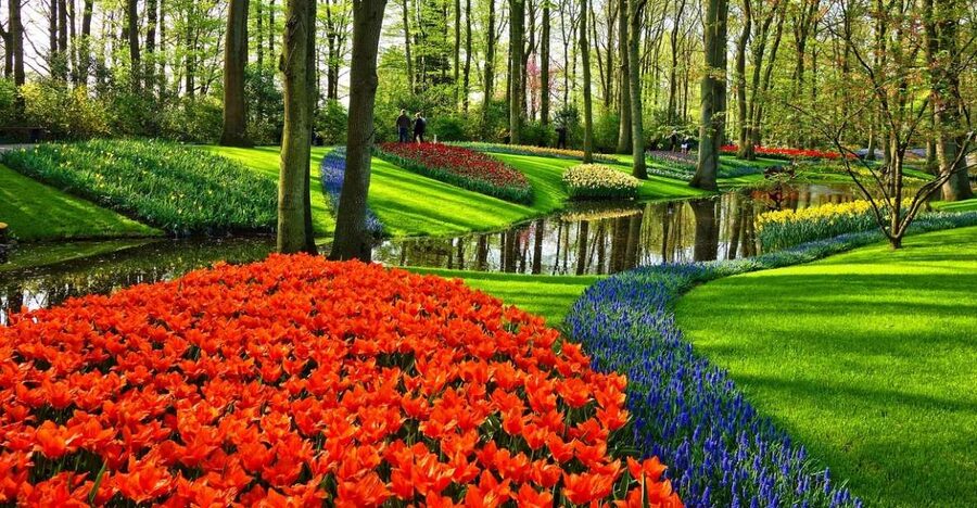 From Amsterdam: Keukenhof Gardens and Giethoorn Tour - Price and Value: Is $570 Worth It for a Private 10-Hour Day?