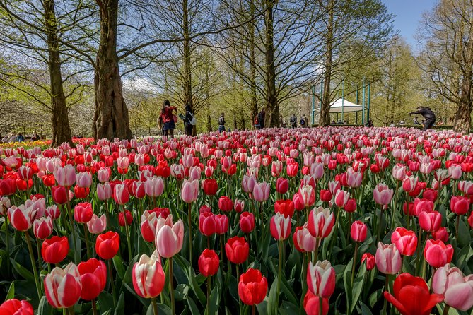 From Amsterdam: Keukenhof Gardens Ticket and Transfer - Keukenhof in About 3 Hours: How to See More With Less Rushing