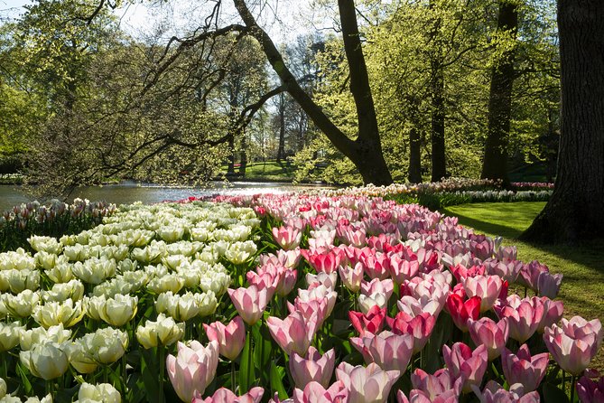 From Amsterdam: Keukenhof Gardens Ticket and Transfer - Timing, Crowds, and the One Thing You Should Do Differently