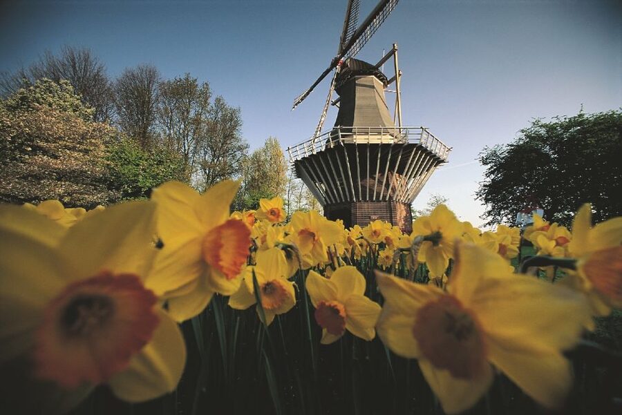 From Amsterdam: Keukenhof Gardens & Tulip Experience Tour - Keukenhof Gardens: 15 km of paths, guided time, then free wandering