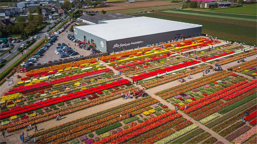 From Amsterdam: Keukenhof Gardens & Tulip Experience Tour - Price and logistics: is $94 good value for this day?