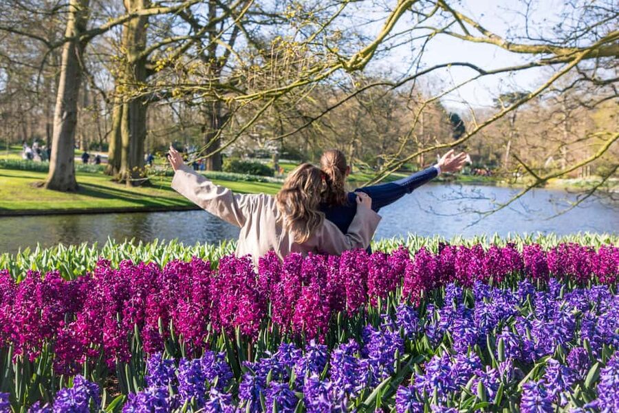From Amsterdam: Keukenhof Ticket with Transfer - From Amsterdam Central to Keukenhof without the headache