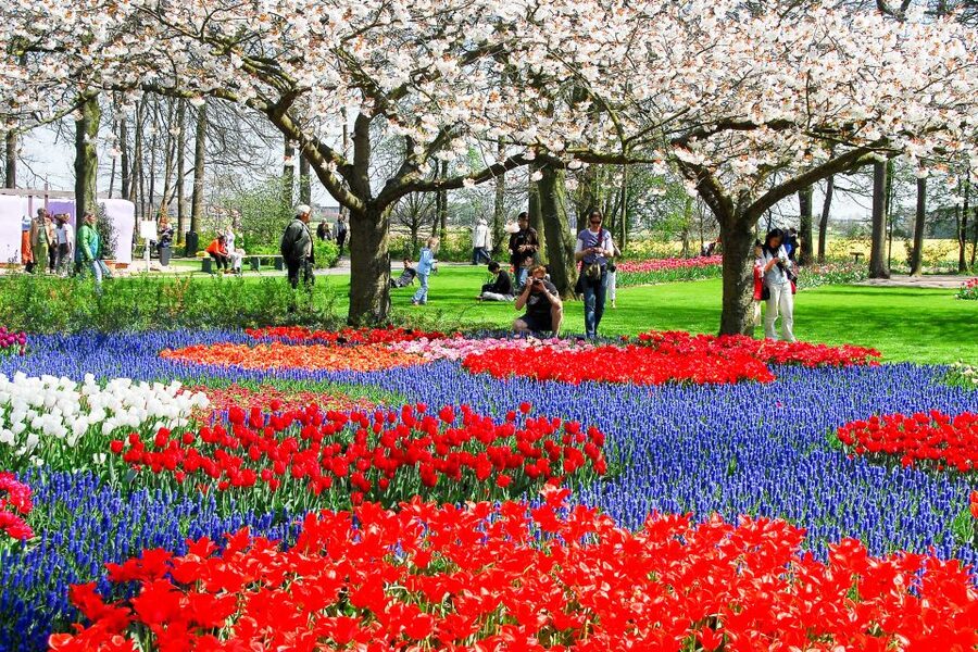From Amsterdam: Keukenhof Ticket with Transfer - Fast-track entry: why it matters at Keukenhof