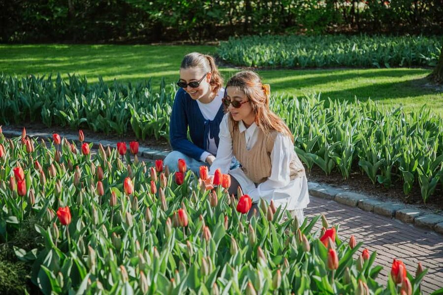 From Amsterdam: Keukenhof Ticket with Transfer - The role of the bus audio guide: culture without extra effort