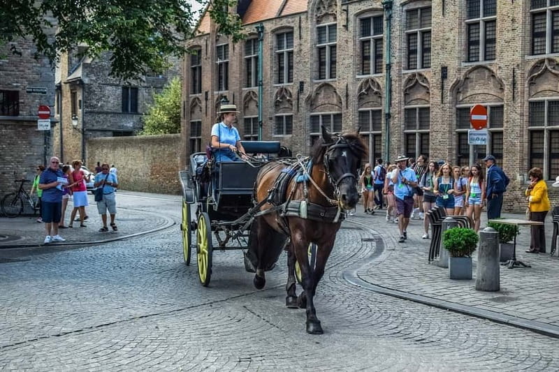 From Amsterdam: Private Sightseeing Tour to Bruges - Arriving in Bruges: using your 4 hours wisely