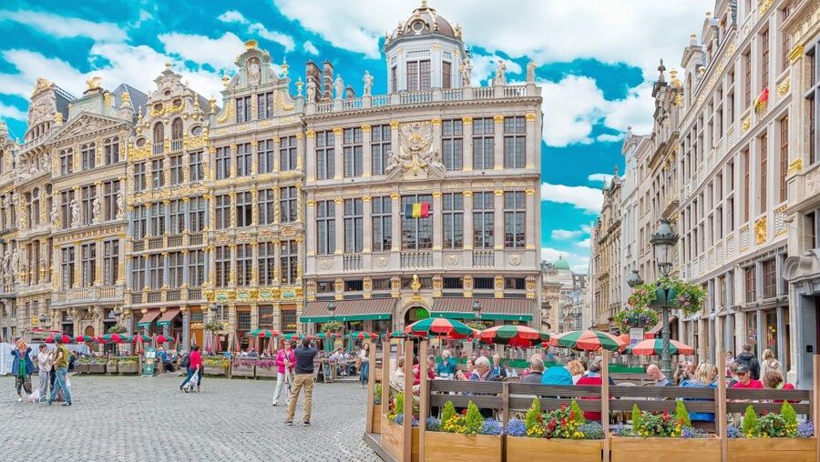 From Amsterdam: Private Sightseeing Tour to Brussels - Atomium and Mini Europe Stops for Big-Image Photos