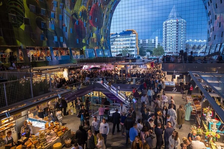 From Amsterdam: Rotterdam to The Hague and Delft - What to pack and how to pace yourself for 9 hours