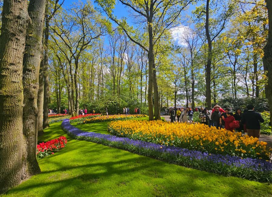 From Amsterdam: Small Group Keukenhof & City Tour Delft - Price and value at $175: where the inclusions really pay off