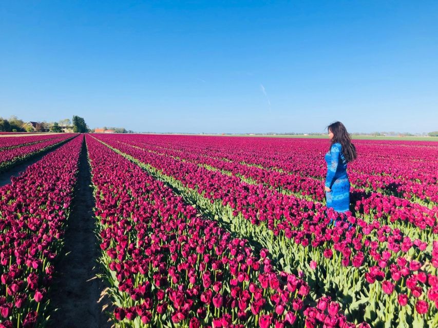 From Amsterdam: Small Group Keukenhof & City Tour Delft - From Amsterdam to Keukenhof and Delft: the 9-hour flow