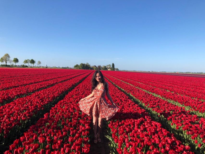 From Amsterdam: Small Group Keukenhof & City Tour Delft - The Keukenhof break: lunch timing, shopping, and where you can slow down