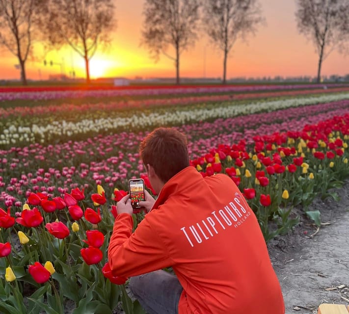 From Amsterdam: The Early Flower Tour, full day with Lunch - The Early Blooms Are the Real Star, Not a Tourist Trap