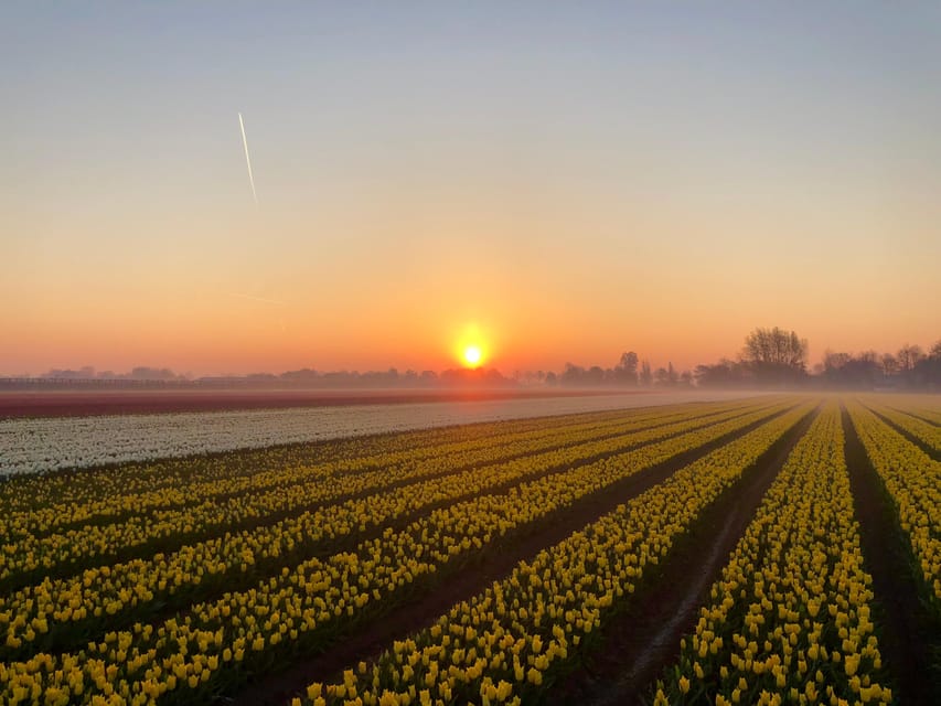 From Amsterdam: The Early Flower Tour, full day with Lunch - Photo Angles and the Cloudy-Day Plan